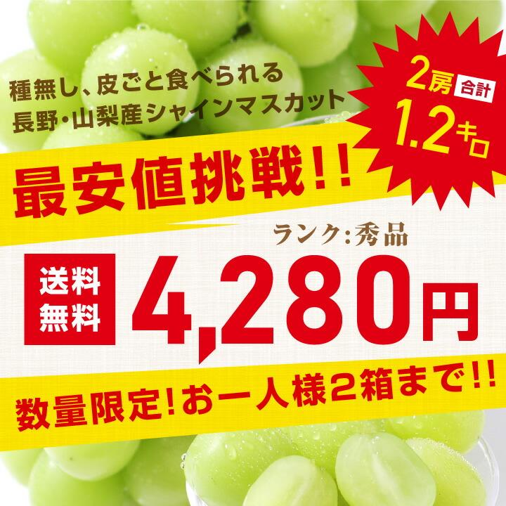山下屋荘介 シャインマスカット 秀品 2房 約1.2キロ \最安値に 山下屋荘介 シャインマスカット 秀品 2房 約1.2キロ \最安値に