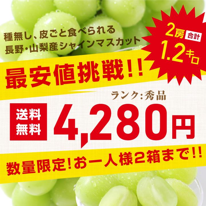 山下屋荘介 シャインマスカット 秀品 2房 約1.2キロ ＼最安値に挑戦