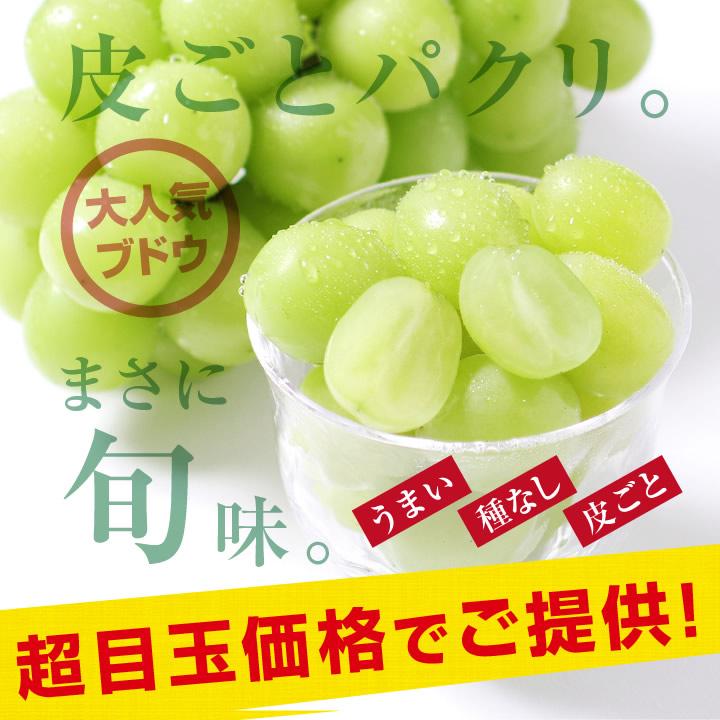 山下屋荘介 シャインマスカット 秀品 2房 約1.2キロ \最安値に 山下屋荘介 シャインマスカット 秀品 2房 約1.2キロ \最安値に