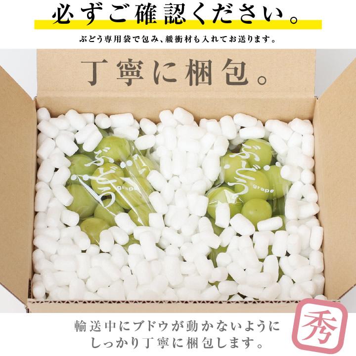 山下屋荘介 シャインマスカット 秀品 2房 約1.2キロ \最安値に 山下屋荘介 シャインマスカット 秀品 2房 約1.2キロ \最安値に