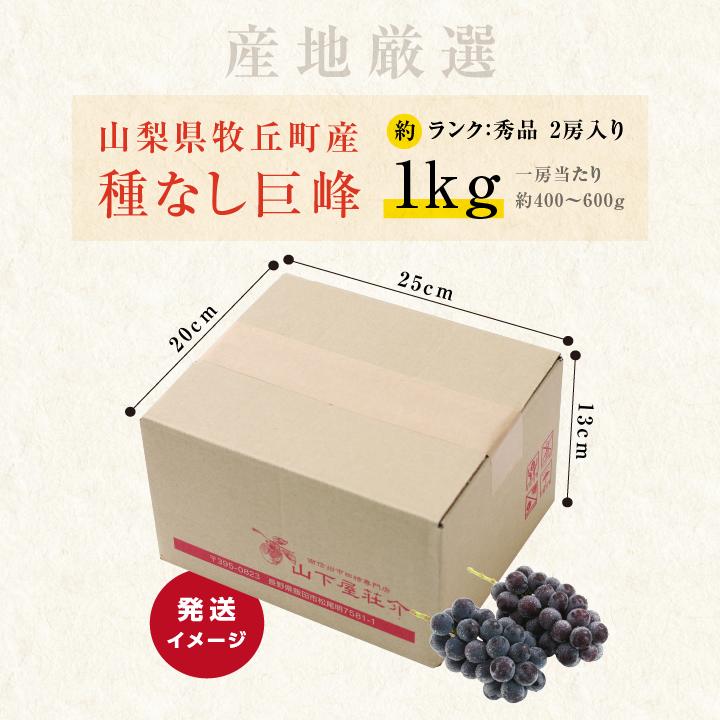 山下屋荘介 ぶどう 巨峰 種なし 種無し 約1kg 2房 秀品 送料無料 日本