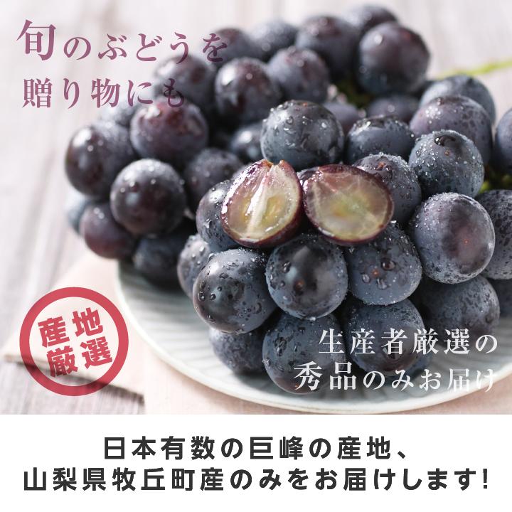 山下屋荘介 ぶどう 巨峰 種なし 種無し 約1kg 2房 秀品 送料無料 日本