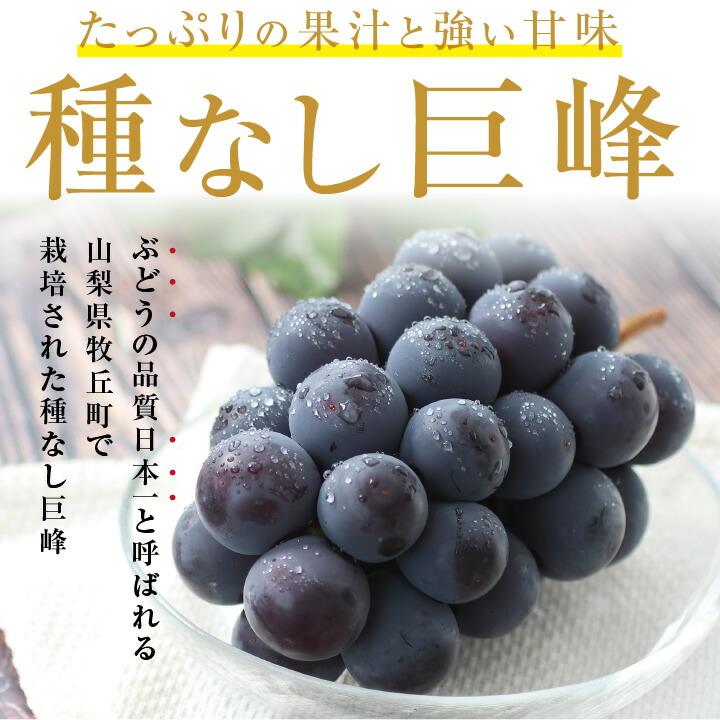 ◯in◯　岩手県産胡桃樹皮　山葡萄① 岡山産ぶどう 紫苑（しえん） | G-Callショッピング