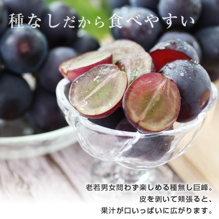 山下屋荘介 ぶどう 巨峰 種なし 種無し 約1kg 2房 秀品 送料無料 日本