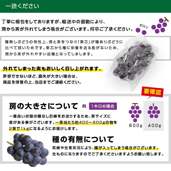 山下屋荘介 ぶどう 巨峰 種なし 種無し 約1kg 2房 秀品 送料無料 日本