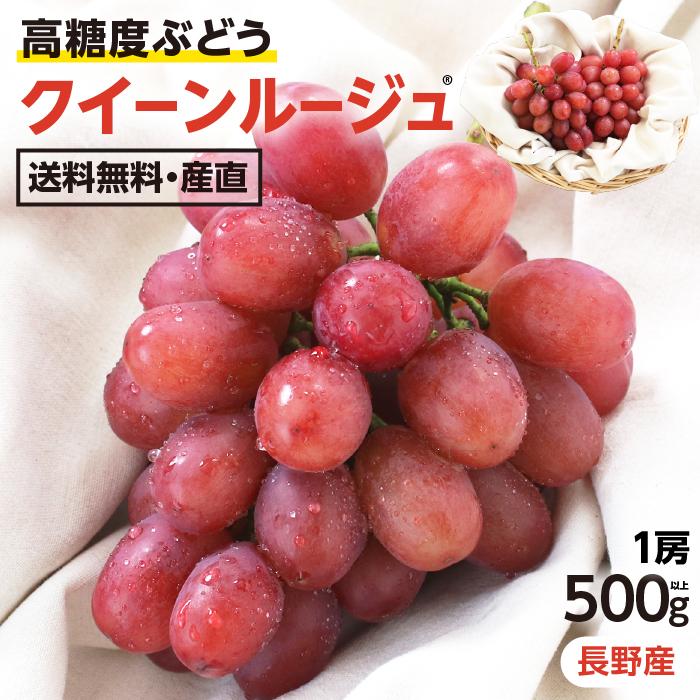 山下屋荘介 ぶどう クイーンルージュ 種無し 約500g 1房 秀品 送料無料