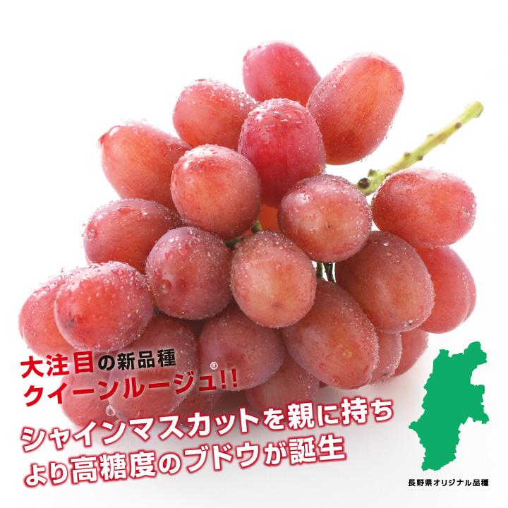 山下屋荘介 ぶどう クイーンルージュ 種無し 約500g 1房 秀品 送料無料