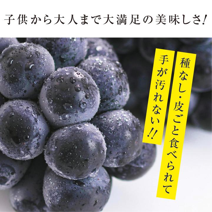 山下屋荘介 ナガノパープル 大房 約1.2kg 2房 秀品 長野県産 ぶどう