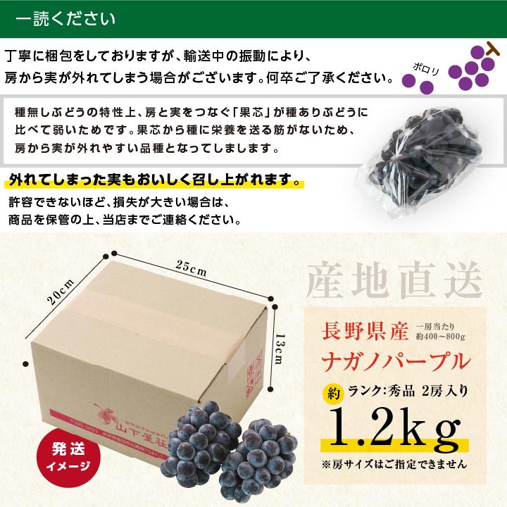 山下屋荘介 ナガノパープル 大房 約1.2kg 2房 秀品 長野県産 ぶどう