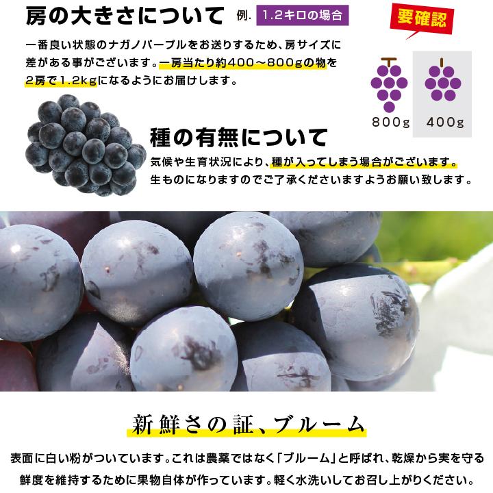 山下屋荘介 ナガノパープル 大房 約1.2kg 2房 秀品 長野県産 ぶどう