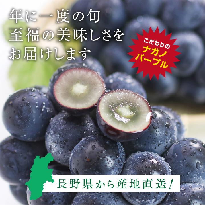 山下屋荘介 ナガノパープル 大房 約1.2kg 2房 秀品 長野県産 ぶどう