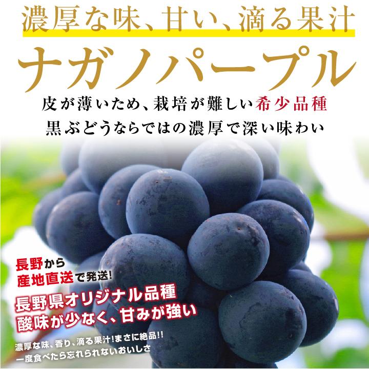 山下屋荘介 ナガノパープル 大房 約1.2kg 2房 秀品 長野県産 ぶどう