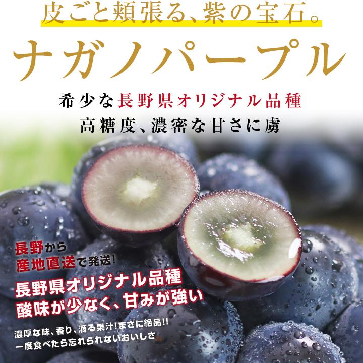 山下屋荘介 ナガノパープル 大房 約1.2kg 2房 秀品 長野県産 ぶどう