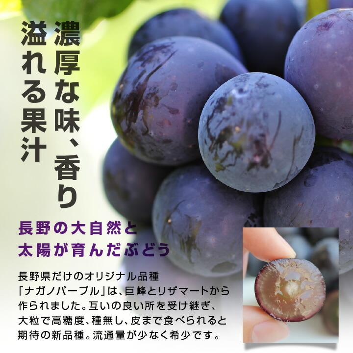 山下屋荘介 ナガノパープル 大房 約1.2kg 2房 秀品 長野県産 山下屋荘介 ナガノパープル 大房 約1.2kg 2房 秀品 長野県産