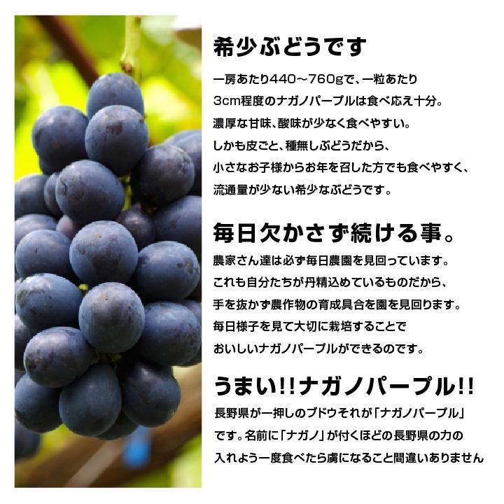 山下屋荘介 ナガノパープル 大房 約1.2kg 2房 秀品 長野県産 ぶどう