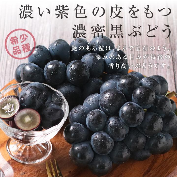 山下屋荘介 ナガノパープル 大房 約1.2kg 2房 秀品 長野県産 ぶどう