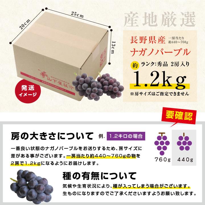 山下屋荘介 ナガノパープル 大房 約1.2kg 2房 秀品 長野県産 ぶどう