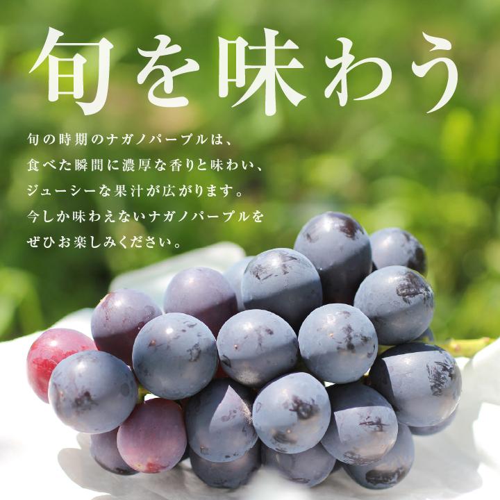 山下屋荘介 ナガノパープル 大房 約1.2kg 2房 秀品 長野県産 ぶどう
