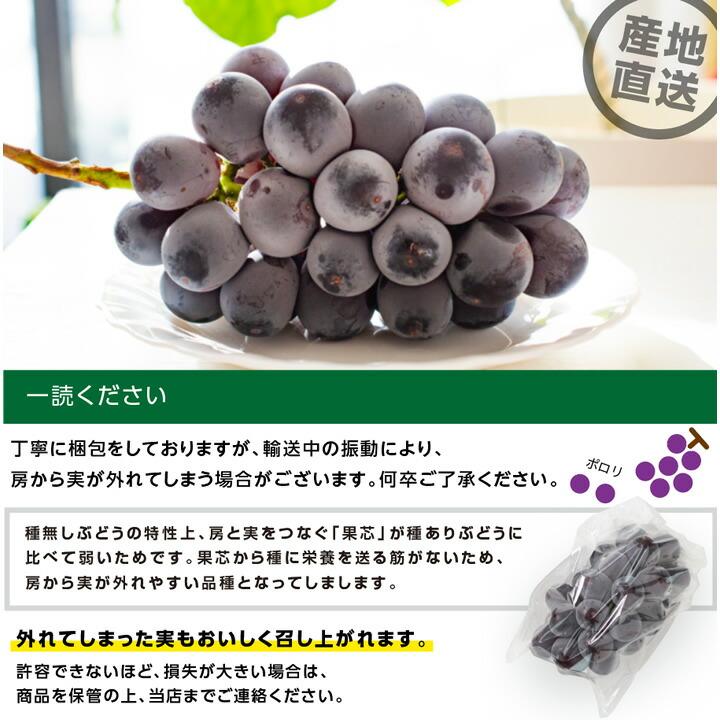 山下屋荘介 ナガノパープル 大房 約1.2kg 2房 秀品 長野県産 ぶどう