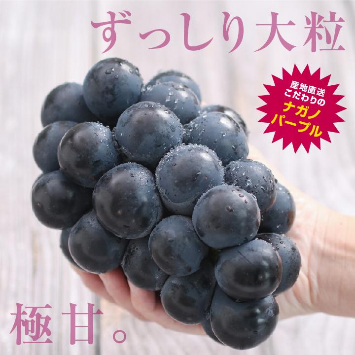 山下屋荘介 ナガノパープル 大房 約1.2kg 2房 秀品 長野県産 ぶどう