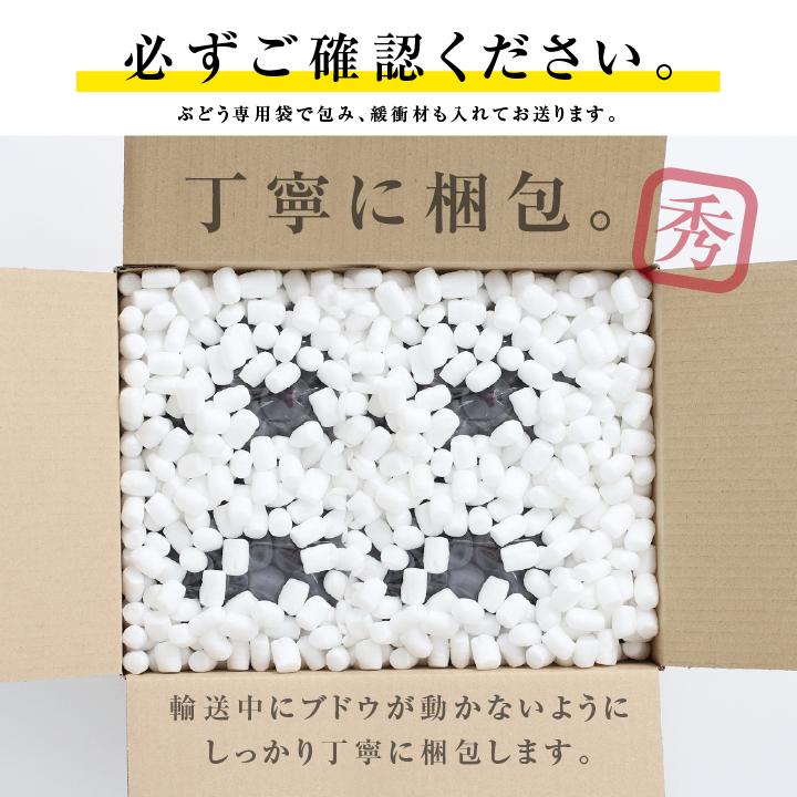 山下屋荘介 ナガノパープル 約2kg 3〜5房 秀品 長野県産 ぶどう 送料