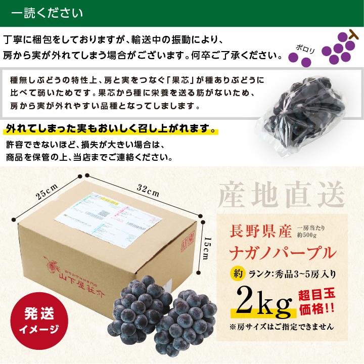 食品 ⑥【岡山県産】ナガノパープル約2キロ(3〜5房)