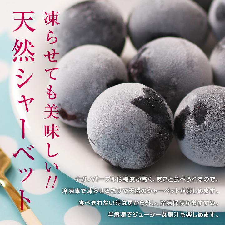 山下屋荘介 ナガノパープル 約2kg 3〜5房 秀品 長野県産 ぶどう 送料