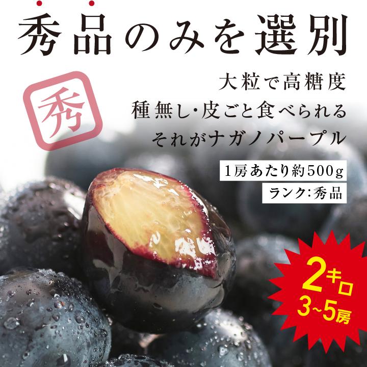 食品 ⑥【岡山県産】ナガノパープル約2キロ(3〜5房)