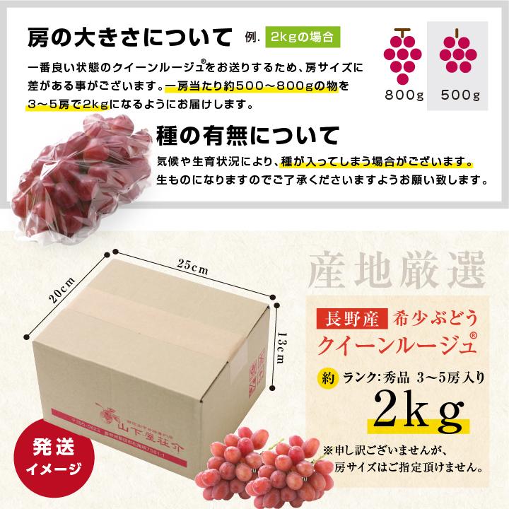 山下屋荘介 ぶどう クイーンルージュ 種無し 約2kg 3〜5房 秀品 送料