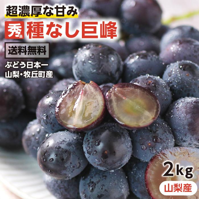 ぶどう 巨峰 種なし 種無し 約2kg 3〜5房 秀品 送料無料 日本一の山梨県牧丘町産 産地厳選 一房約400〜600g 葡萄 ブドウ 種なし巨峰 -Y09J 超PayPay祭