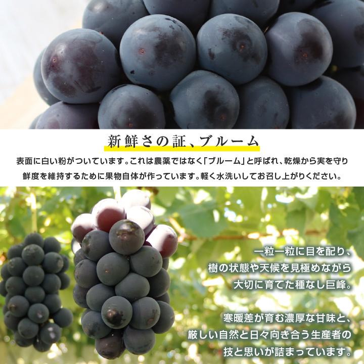 山下屋荘介 ぶどう 巨峰 種なし 種無し 約2kg 3〜5房 秀品 送料無料
