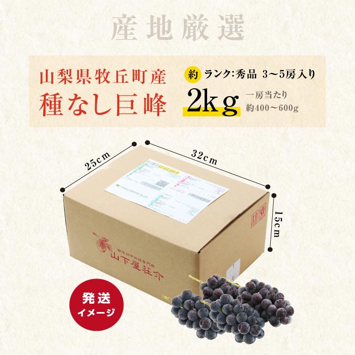 山梨県産 種無し 巨峰 2キロ ご家庭 贈答品 山下屋荘介 ぶどう 巨峰 種なし 種無し 約2kg 3〜5房 秀品 送料無料