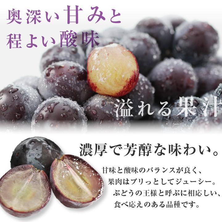山下屋荘介 ぶどう 巨峰 種なし 種無し 約2kg 3〜5房 秀品 送料無料
