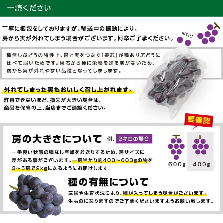 山下屋荘介 ぶどう 巨峰 種なし 種無し 約2kg 3〜5房 秀品 送料無料