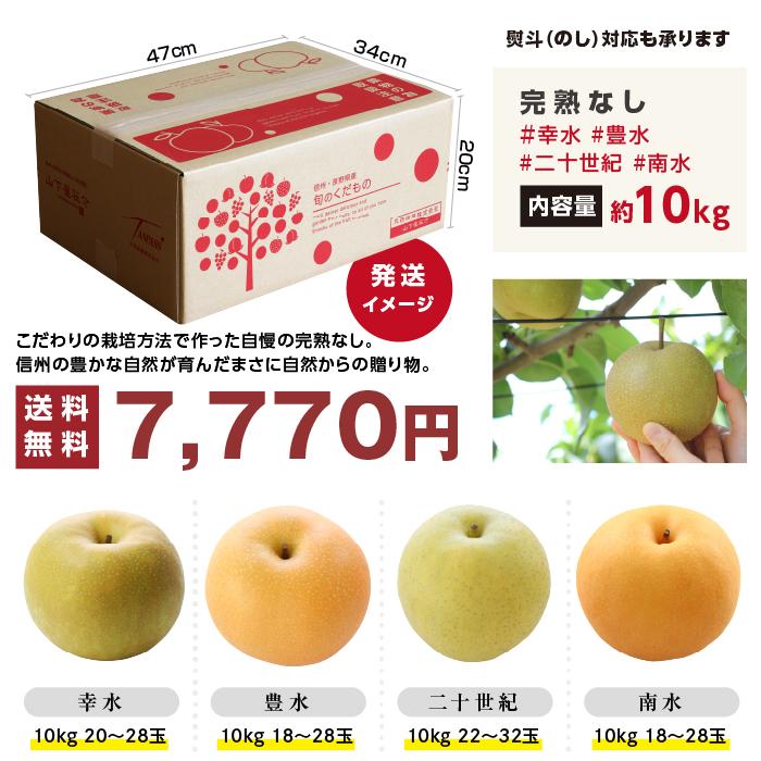 山下屋荘介 梨 長野県産 送料無料 秀品 10kg 幸水 豊水 二十世紀 南水