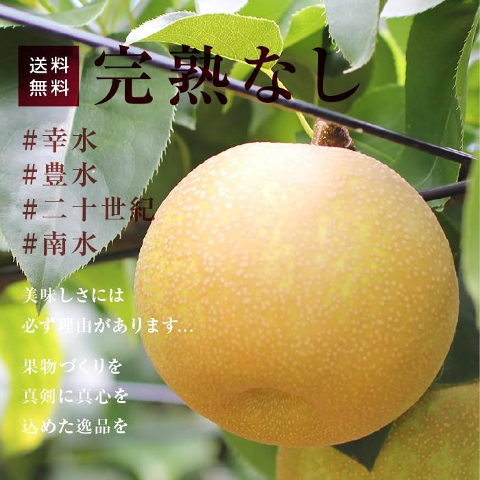 梨 長野県産 送料無料 秀品 10kg 幸水 豊水 二十世紀 南水 選べる品種 完熟なし 産地直送 甘い梨 旬の果物 お取り寄せ お中元 残暑見舞い｜so-suke｜08