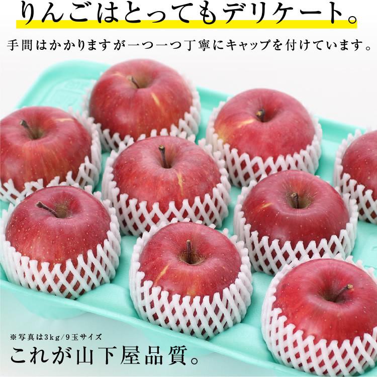山下屋荘介 りんご サンつがる 長野県産 3kg 秀品 8〜12玉 送料無料