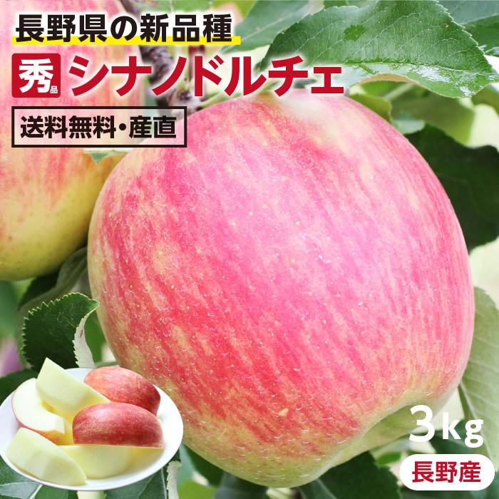 りんご シナノドルチェ 3kg 秀品 送料無料 長野産 リンゴ 産地直送 葉とらずリンゴ 信州 お取り寄せ 旬の果物 贈答用 贈り物 ギフト