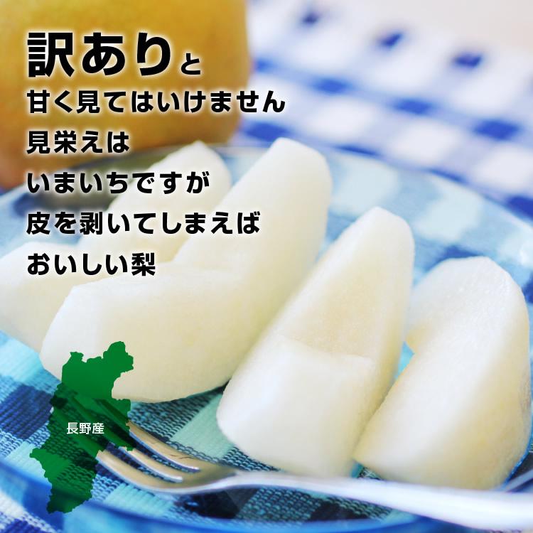 山下屋荘介 訳あり 梨 5kg 送料無料 長野県産 選べる品種！ 幸水 豊水