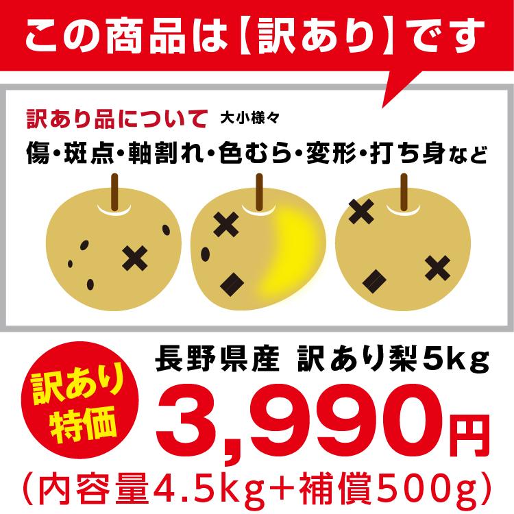 山下屋荘介 訳あり 梨 5kg 送料無料 長野県産 選べる品種！ 幸水 豊水