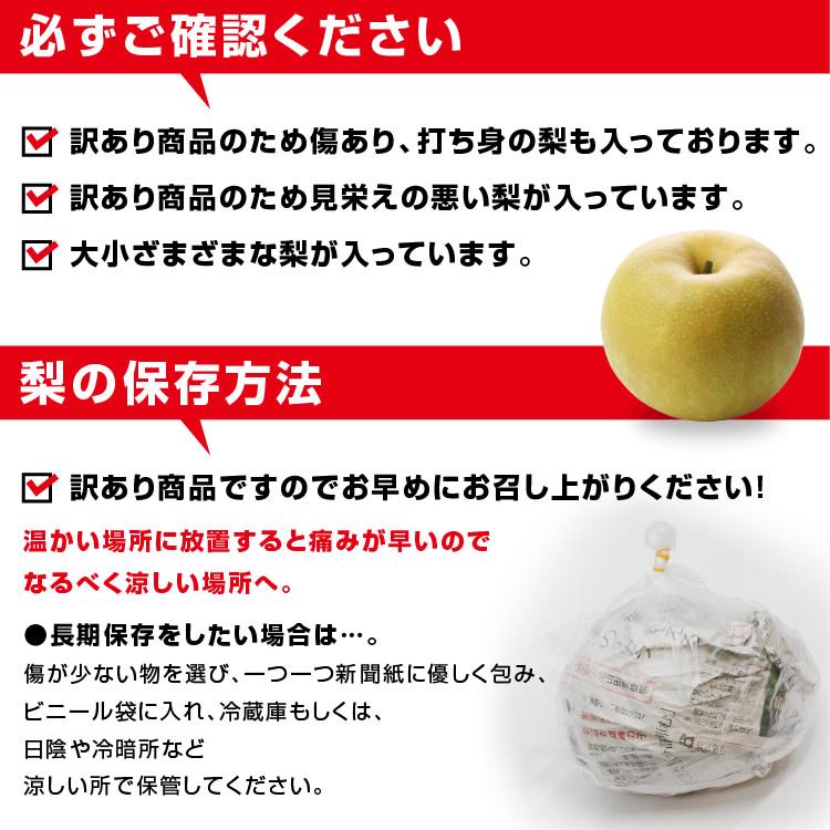 山下屋荘介 訳あり 梨 5kg 送料無料 長野県産 選べる品種！ 幸水