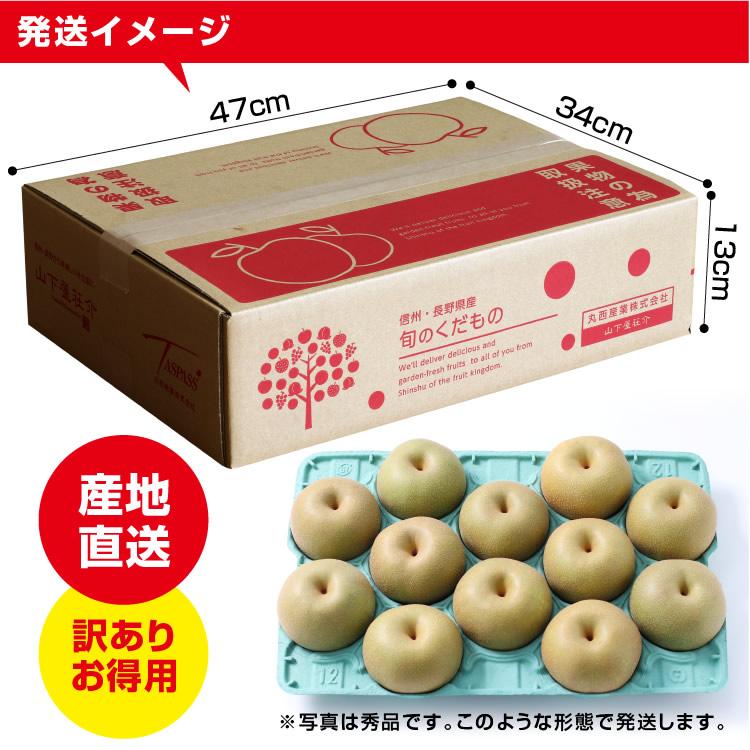 山下屋荘介 訳あり 梨 5kg 送料無料 長野県産 選べる品種！ 幸水 豊水
