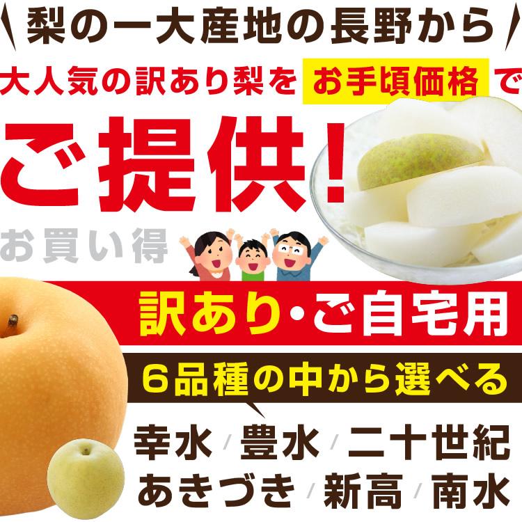 山下屋荘介 訳あり 梨 5kg 送料無料 長野県産 選べる品種！ 幸水 豊水