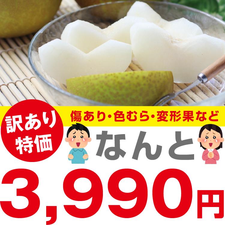山下屋荘介 訳あり 梨 5kg 送料無料 長野県産 選べる品種！ 幸水 豊水