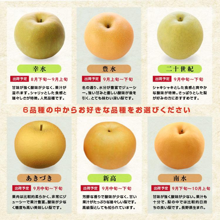 山下屋荘介 訳あり 梨 5kg 送料無料 長野県産 選べる品種！ 幸水