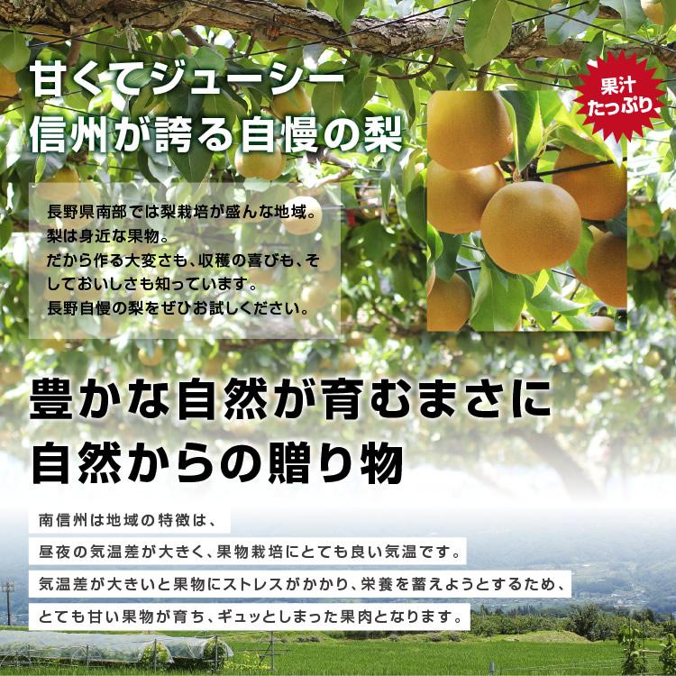 山下屋荘介 訳あり 梨 5kg 送料無料 長野県産 選べる品種！ 幸水 豊水