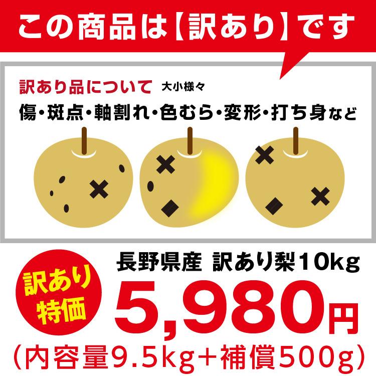 山下屋荘介 訳あり 梨 10kg 送料無料 長野県産 選べる品種！ 幸水 豊水