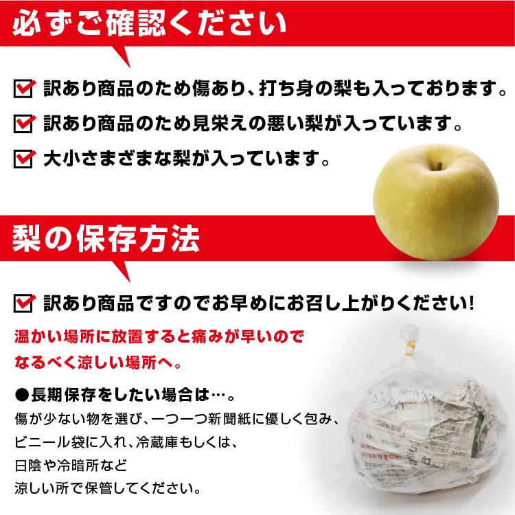 山下屋荘介 訳あり 梨 10kg 送料無料 長野県産 選べる品種！ 幸水 豊水