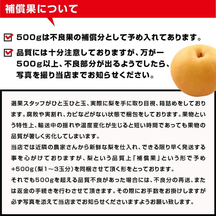 山下屋荘介 訳あり 梨 10kg 送料無料 長野県産 選べる品種！ 幸水 豊水