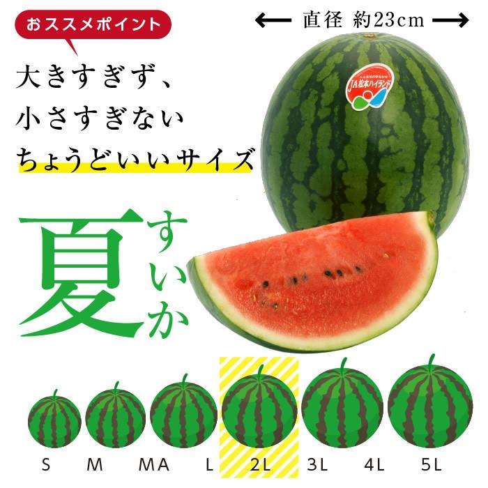 松本ハイランドより　金色羅皇入荷です　秀品3L 松本ハイランド西瓜（品種：金色羅皇）』長野県産 秀 3L 1玉 約